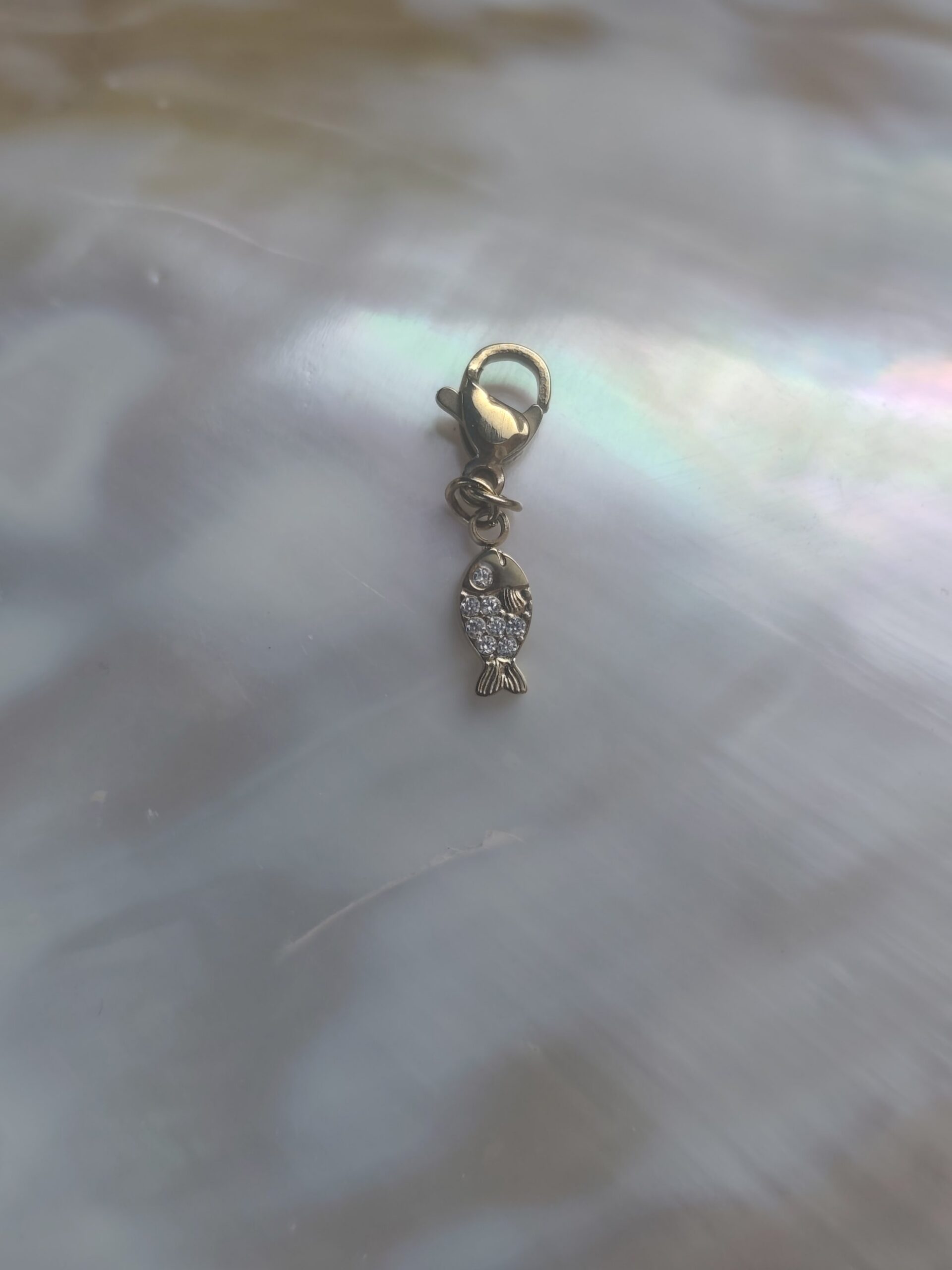 Charm p'tit poisson